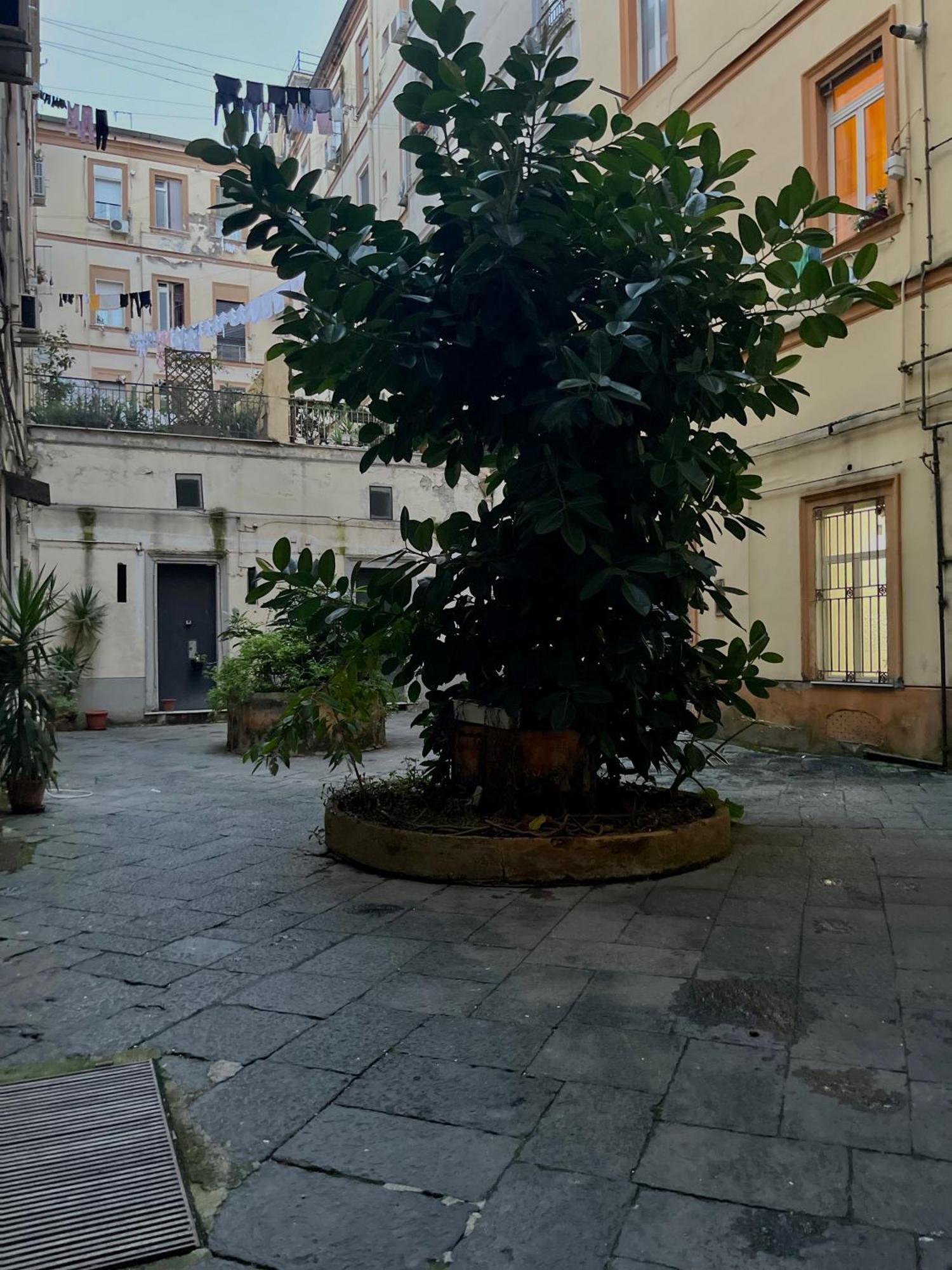 Momarooms Napoli Bagian luar foto